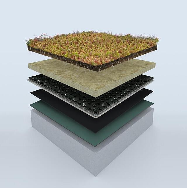 Green_roof_system_w._Drainage_Universal